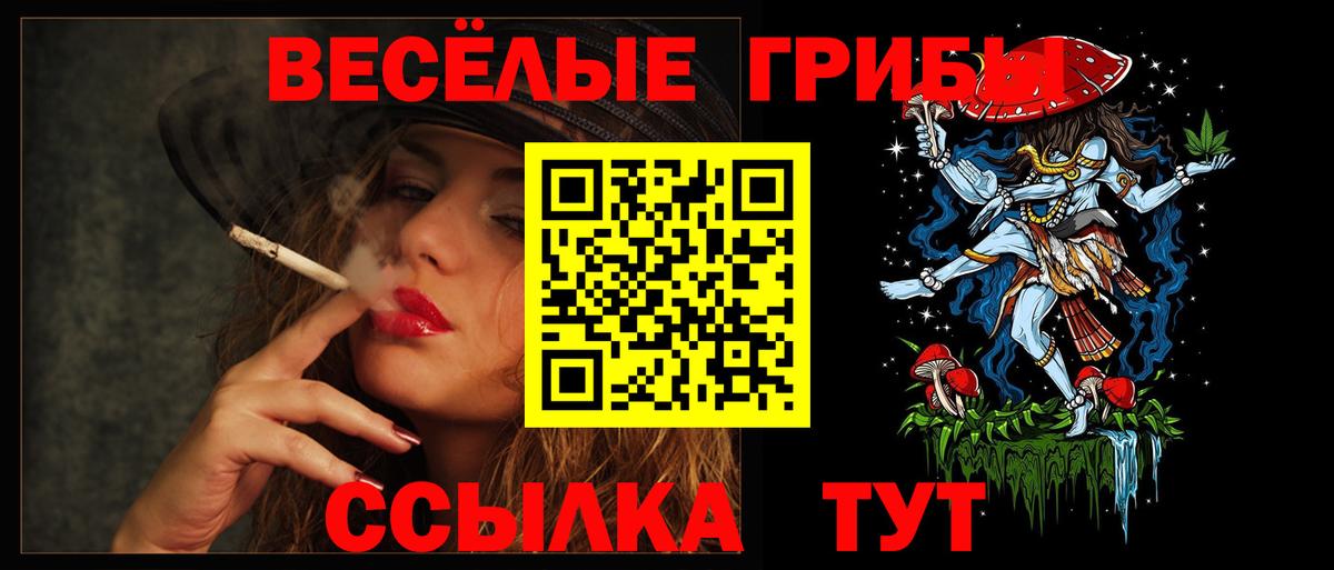 Галлюциногенные грибы ЛСД  Вход с VPN  купить закладку  Черногорск 