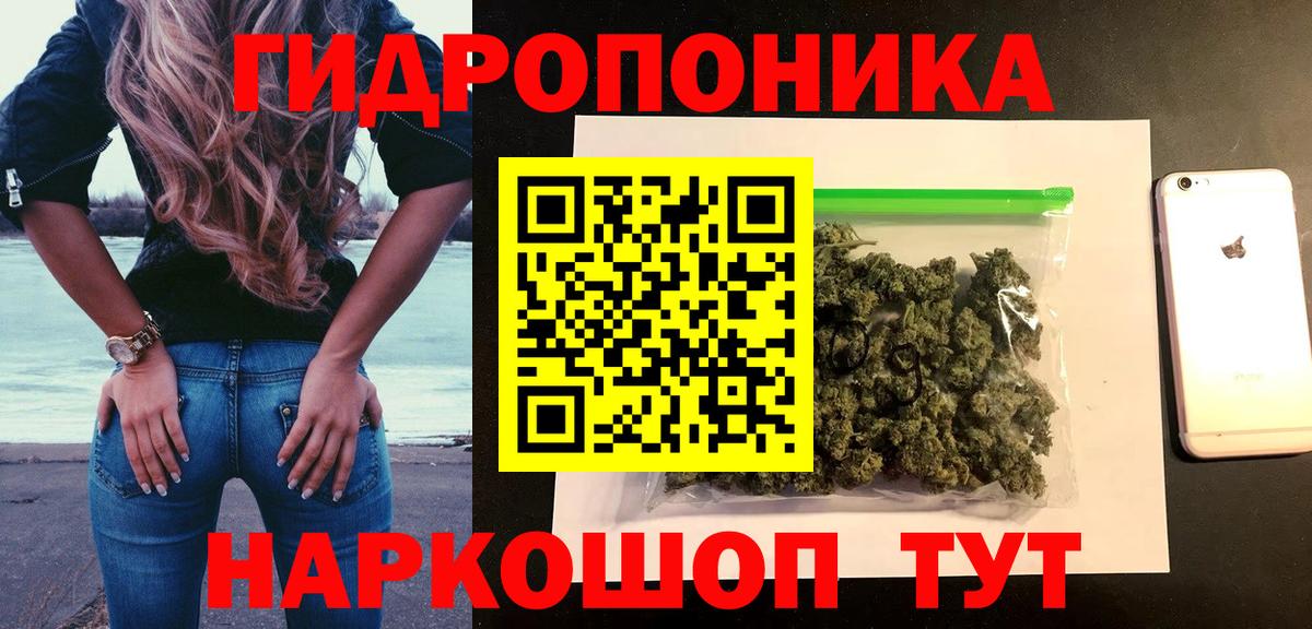 Конопля гибрид Черногорск